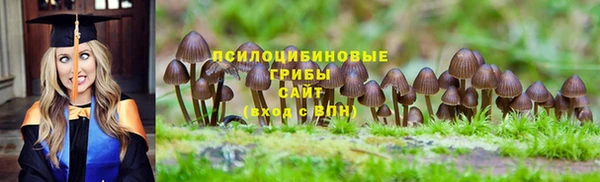 таблы Кукмор
