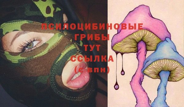 альфа пвп Куйбышев