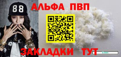 стаф Бийск