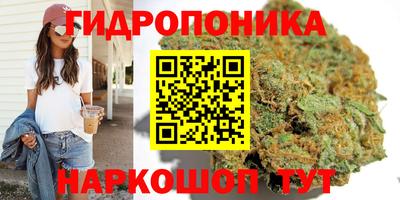 стаф Бийск
