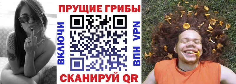 Псилоцибиновые грибы Magic Shrooms  где купить   Астрахань 